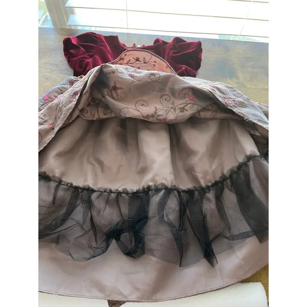 3T Girls Toddlers Redvine Velvet Light Shimmer Brown Floral Embroidery Holiday